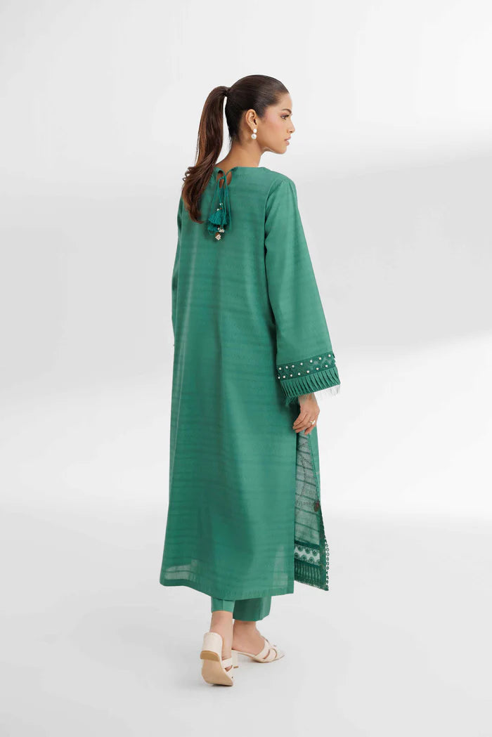 2 Piece – Dyed Embroidered Suit – NS42502055