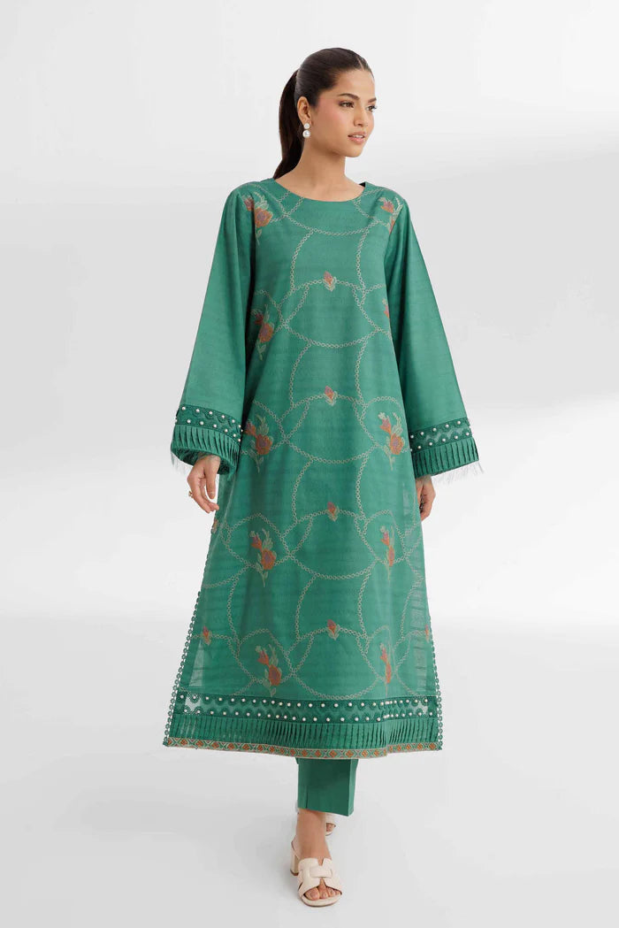 2 Piece – Dyed Embroidered Suit – NS42502055