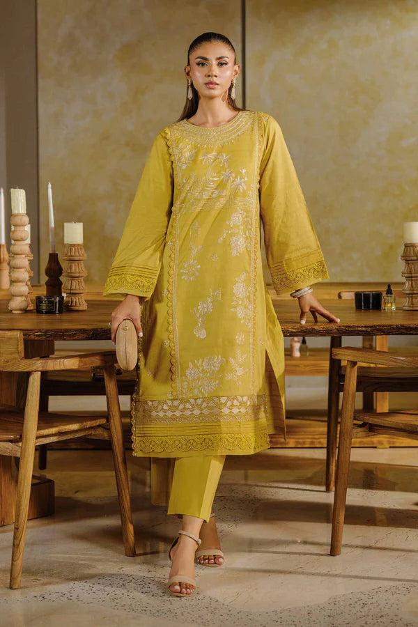 2 Piece – Dyed Embroidered Suit – NS42502056