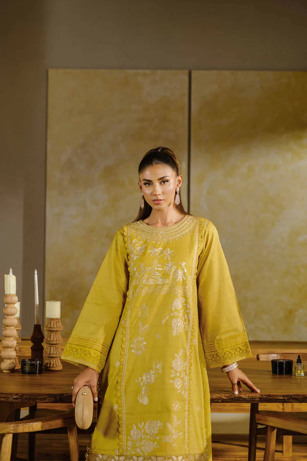 2 Piece – Dyed Embroidered Suit – NS42502056