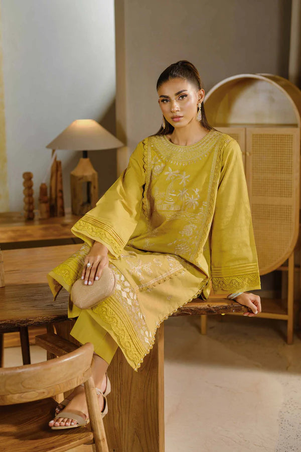 2 Piece – Dyed Embroidered Suit – NS42502056