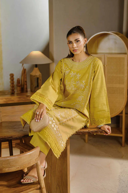 2 Piece – Dyed Embroidered Suit – NS42502056