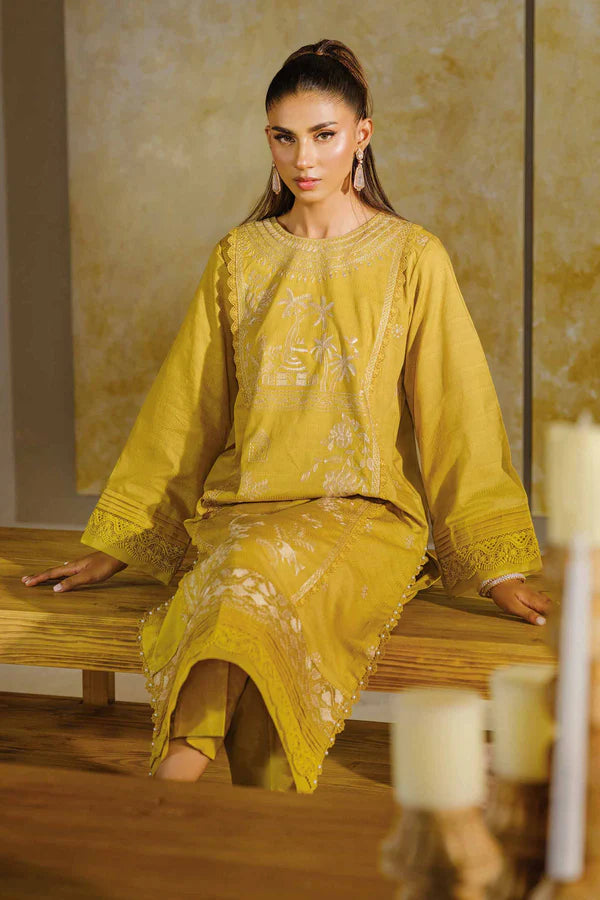 2 Piece – Dyed Embroidered Suit – NS42502056