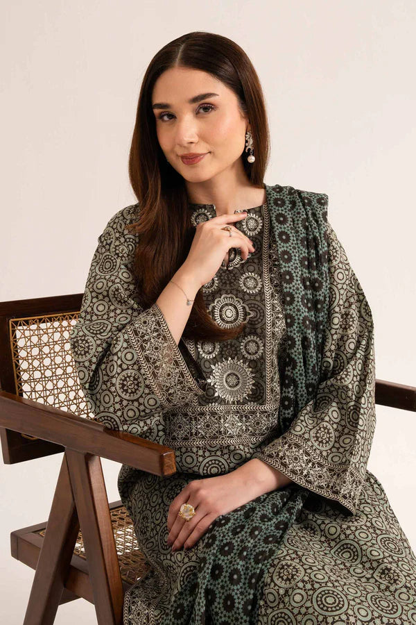 3 Piece – Printed Embroidered Suit – NS42519179