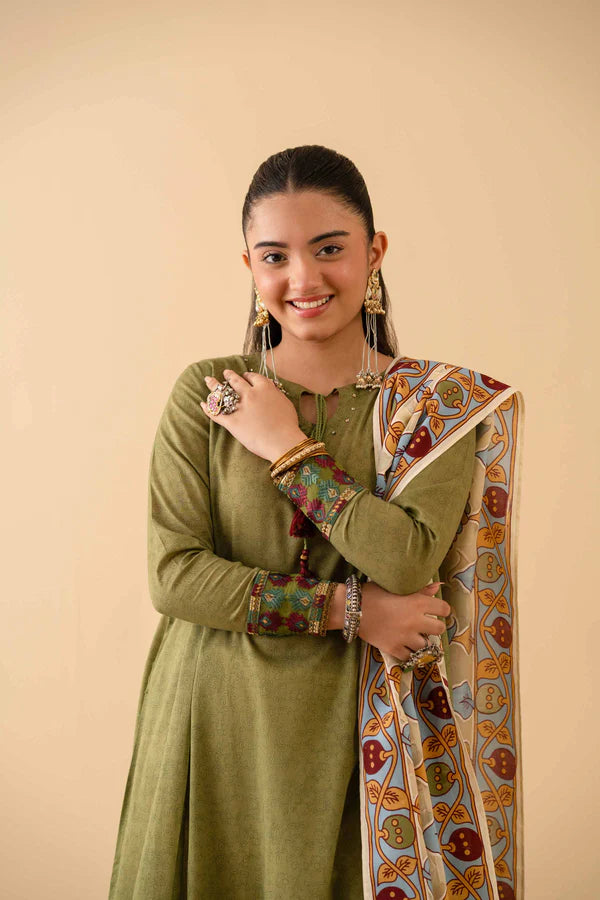 2 Piece – Printed Embroidered Suit – NSPE25-314