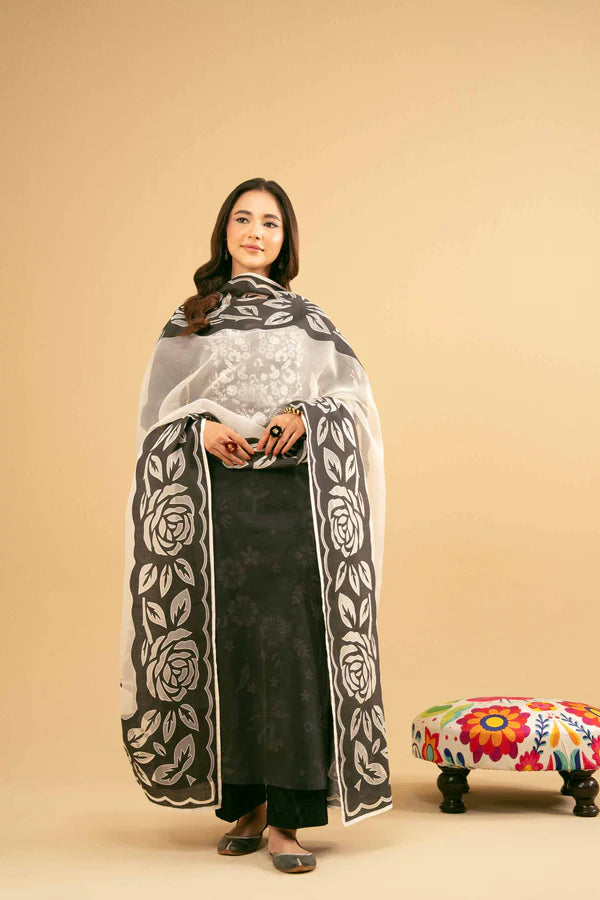 2 Piece – Embroidered Suit – NSPE25-453