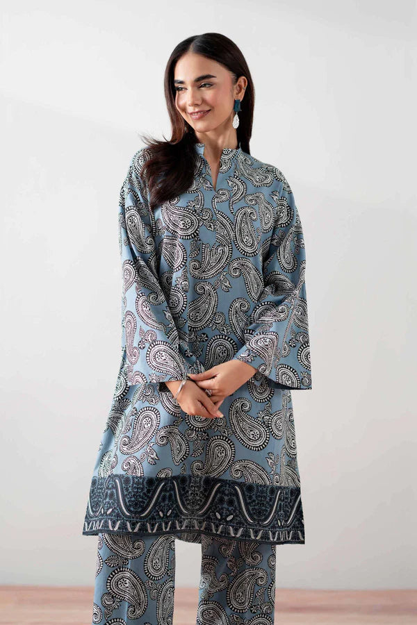 2 Piece – Printed Embroidered Suit – NSPS25-138