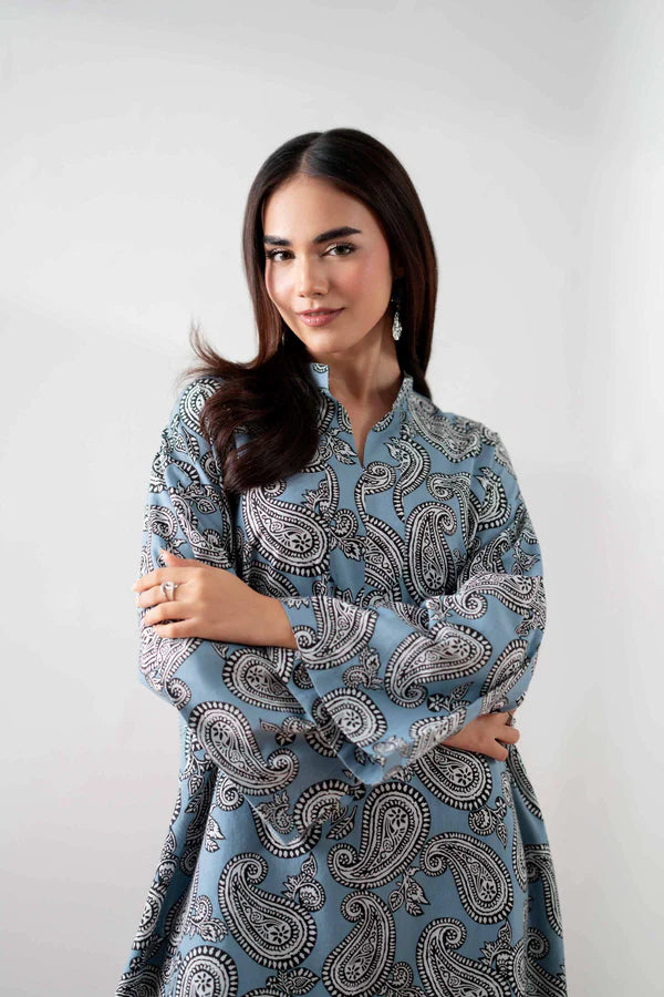 2 Piece – Printed Embroidered Suit – NSPS25-138