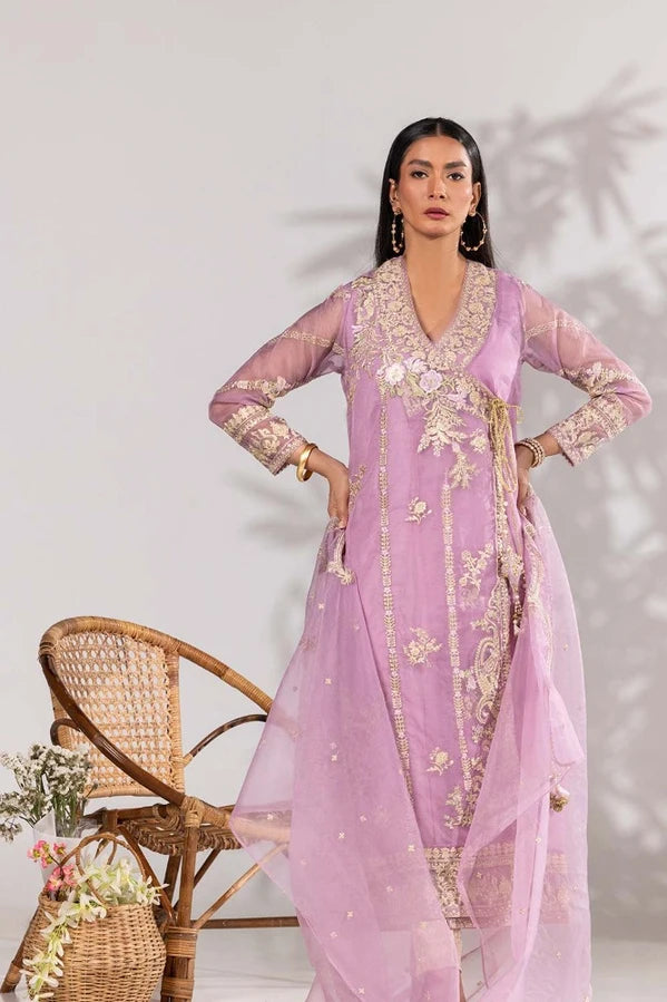 3 Piece Organza Embroidered Suit IDILP-23-172
